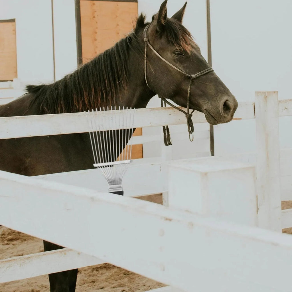 Stainless steel dematting brush rake comb for grooming horses and pets.
