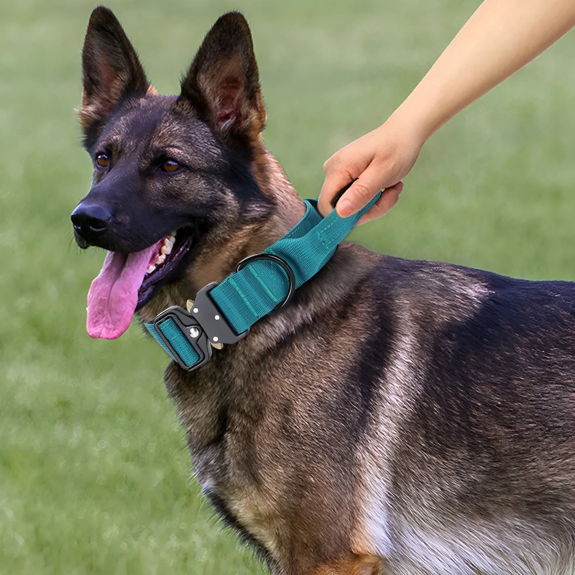 Nylon explosion-proof handle dog collar for medium and large dogs in black, 1.5-inch width, size shown L
