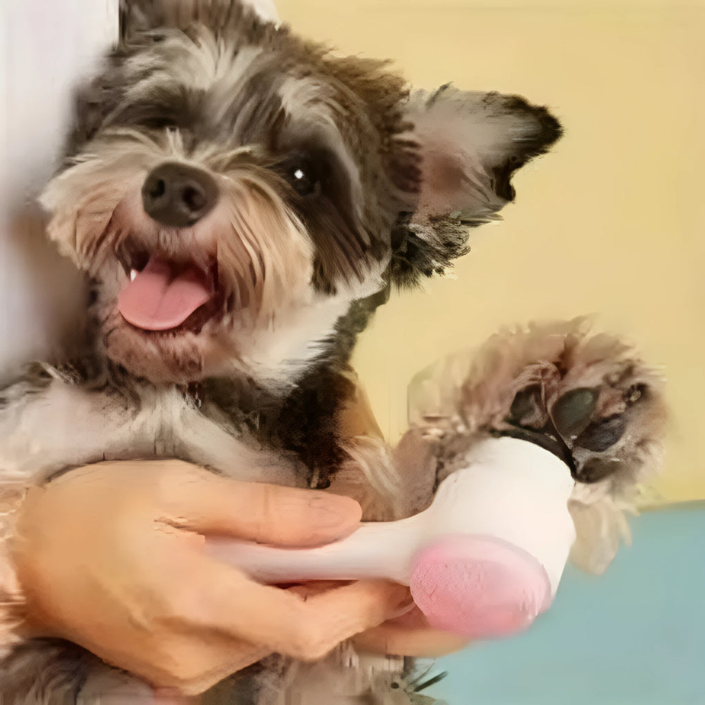 Blue nylon bristle pet paw brush for dog and cat grooming on white background
