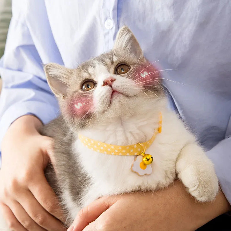 Adjustable green pet collar with a silver bell and a pink bow tie on a small dog.
