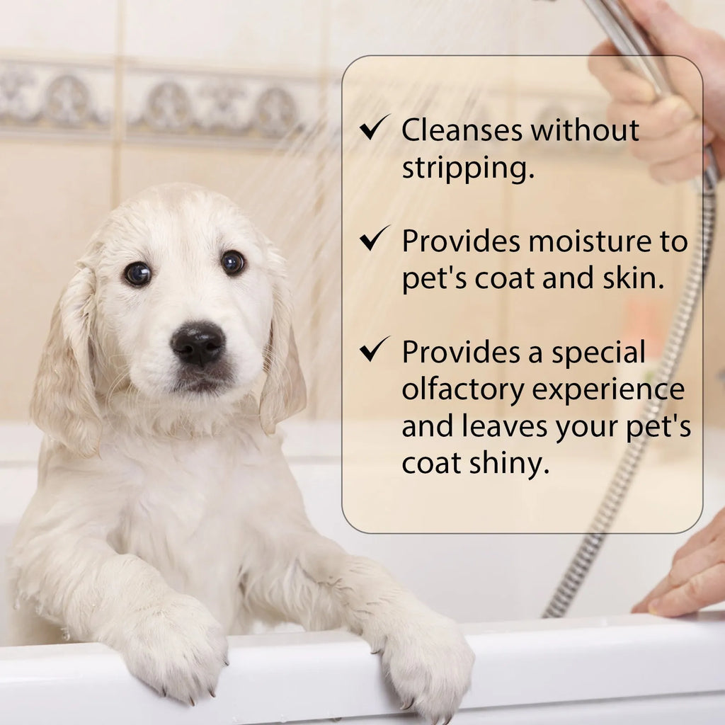 Bottle of mild pet shampoo for dogs in 100ml or 300ml size.