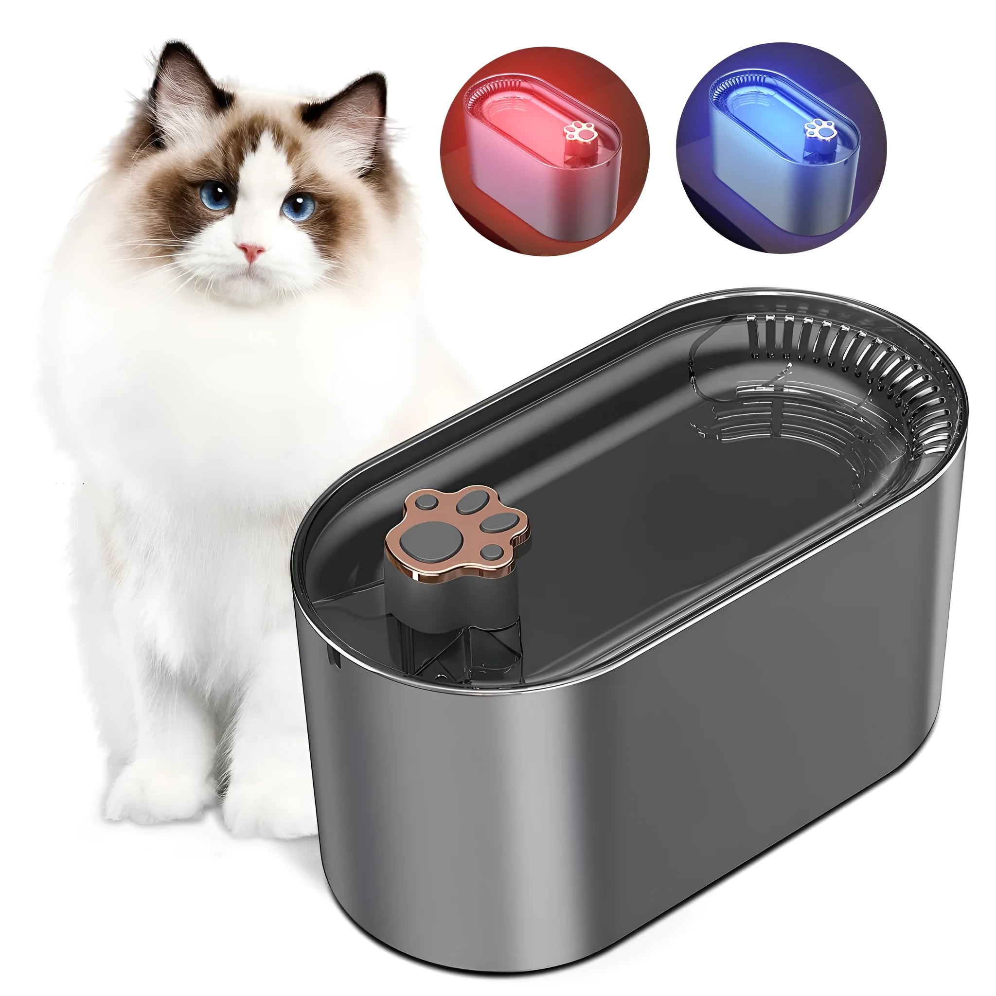 3L automatic pet water fountain in Berlin blue colour with LED light and quiet pump