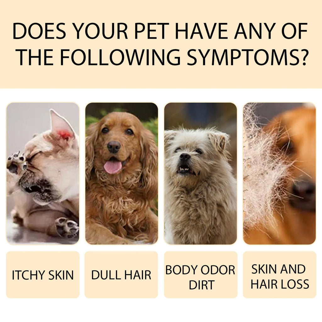 Bottle of mild pet shampoo for dogs in 100ml or 300ml size.