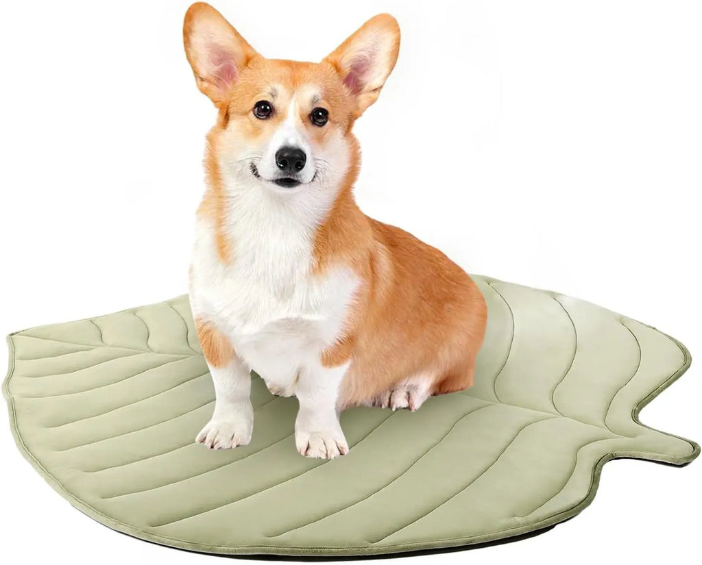 Summer cat cooling mat with ginkgo leaf shape in light blue on floor