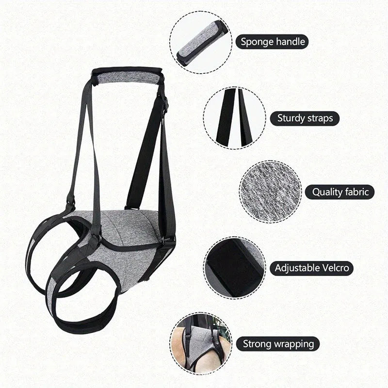 Neoprene dog rear leg auxiliary belt with adjustable waist and thigh straps in grey