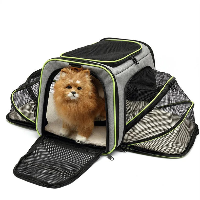 600D cation fabric cat carrier bag in large or small size with piping detailing