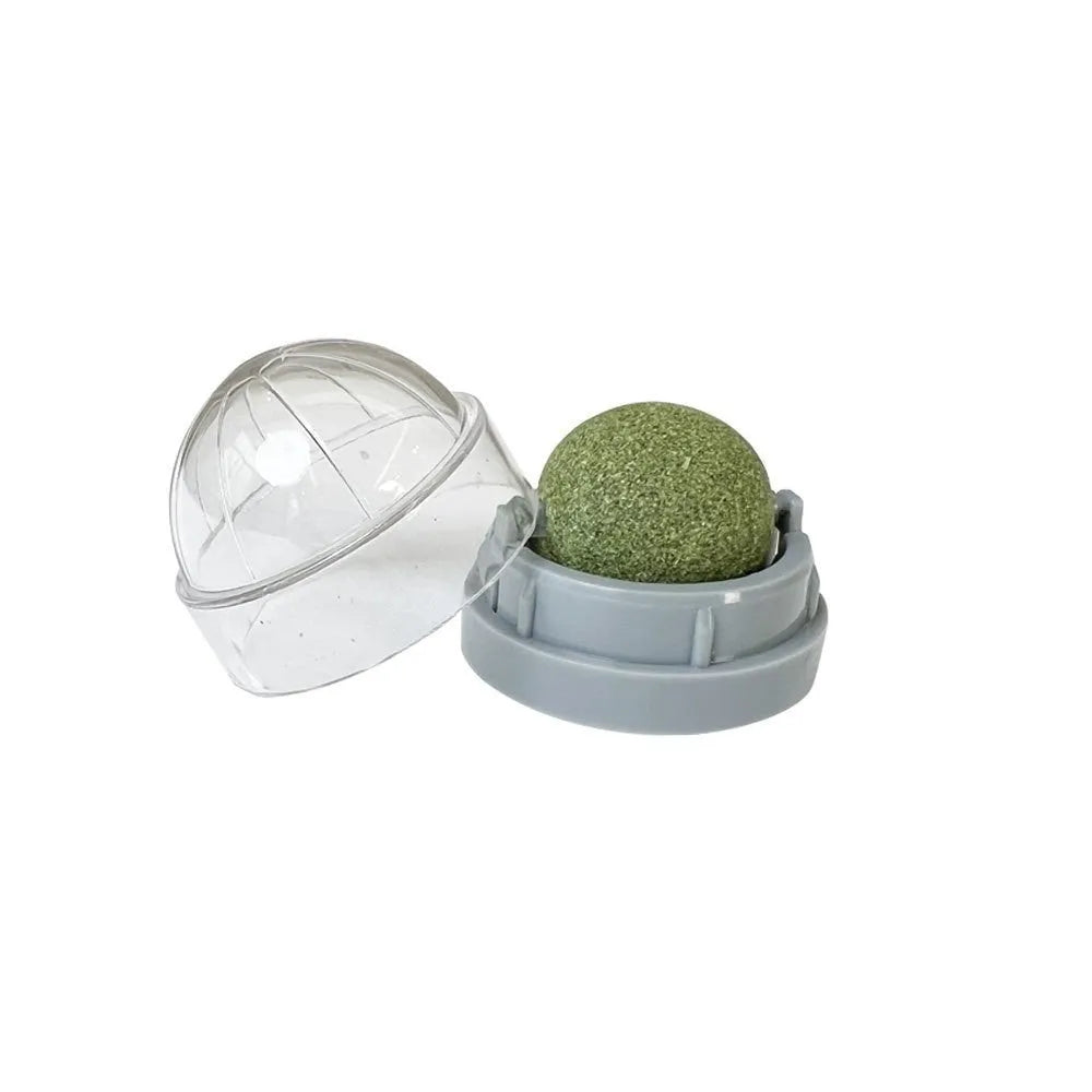 Plastic catnip ball toy in multiple colours with bite-resistant construction for dental care