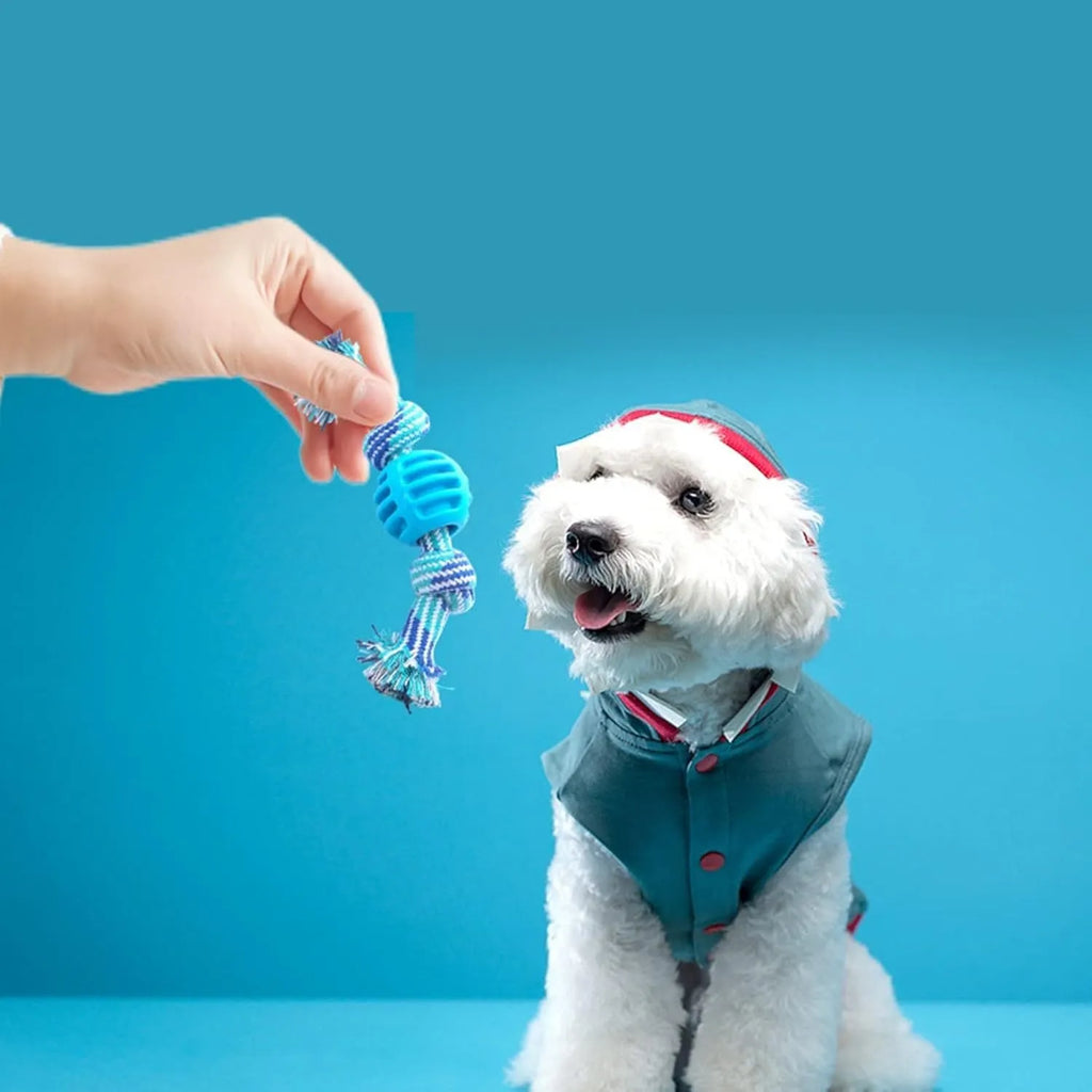 Blue dog chew toy with ropes for dental cleaning and interactive play