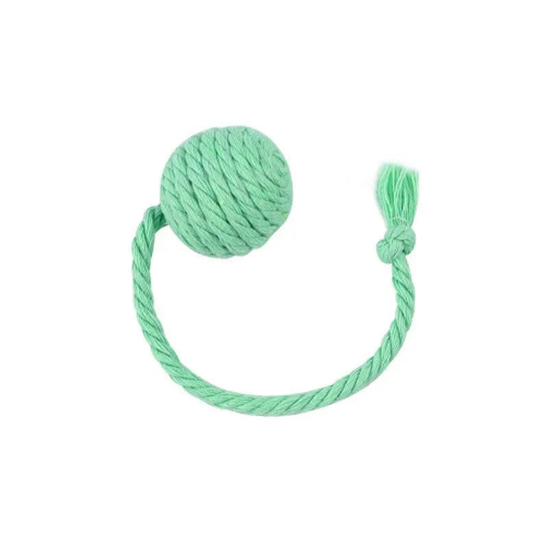 Interactive cat toy ball with rope attachment and built-in bell in green, pink, purple and yellow colours
