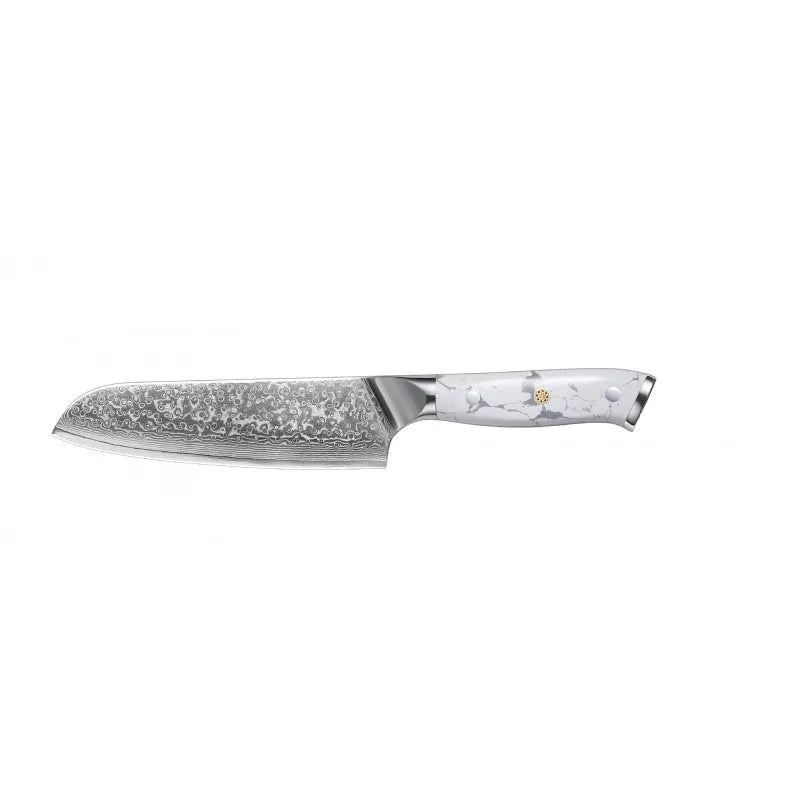 Damascus pattern VG10 steel chef knife with 21cm blade and 11cm wooden handle