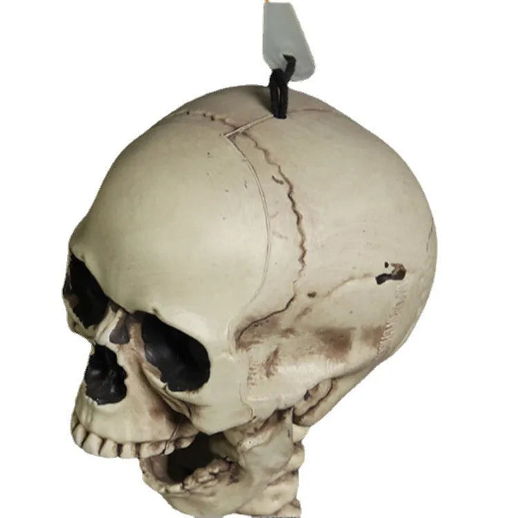 Full-size 170cm tall plastic skeleton prop for Halloween and event decoration.