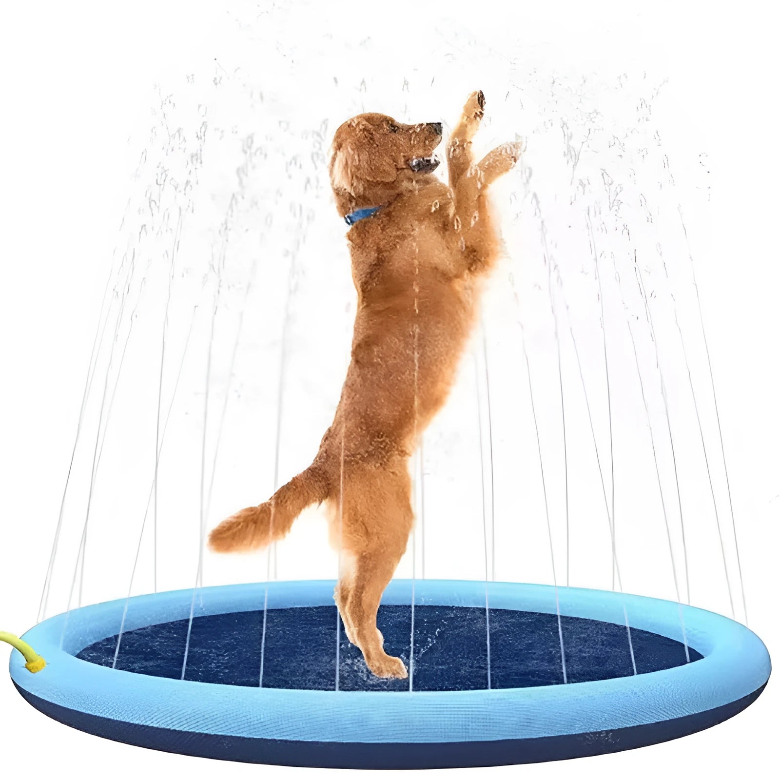 Inflatable blue dog pool splash pad with anti-slip texture, partially filled with water in a garden.