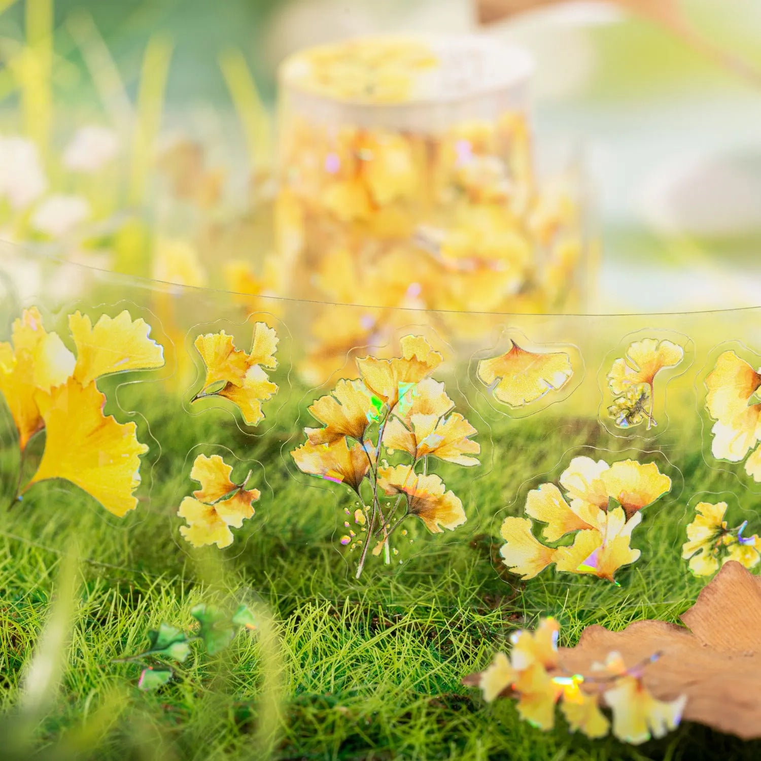 Six rolls of nature-themed decorative stickers showing gentle ginkgo, maple leaf, and blue fallen leaves designs.