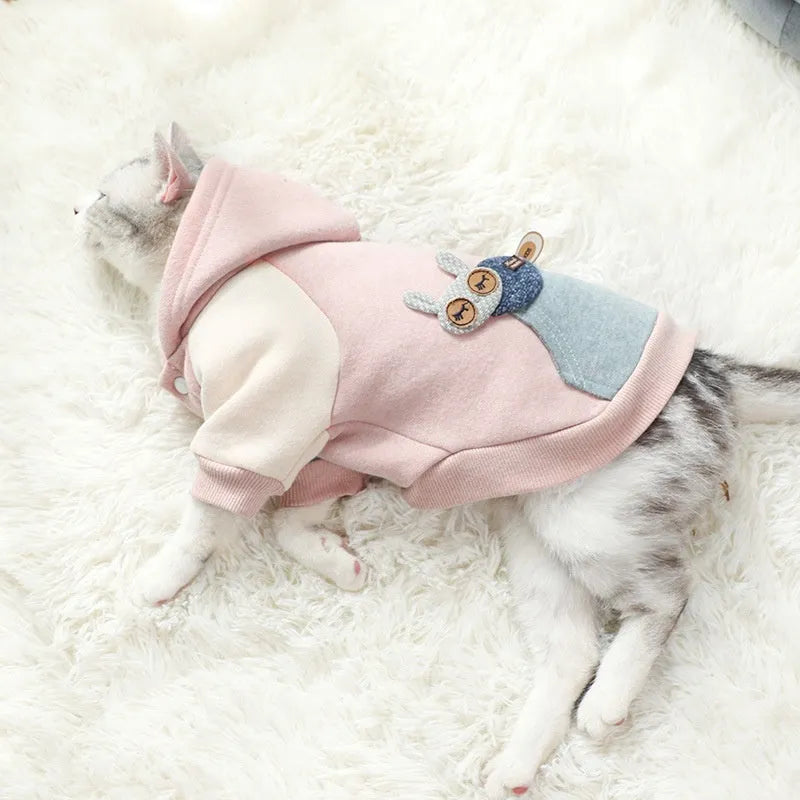 Brown cotton pet sweatshirt on dog showing size fit and casual design