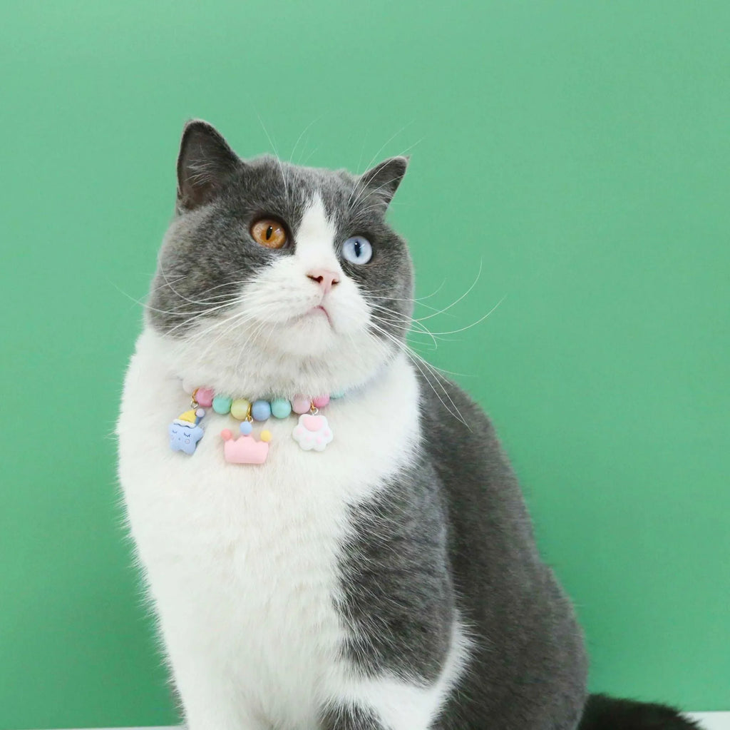 Colourful macaron-themed resin pet jewellery set with adjustable collar and bracelet for dogs and cats