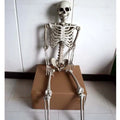 Full-size 170cm tall plastic skeleton prop for Halloween and event decoration.