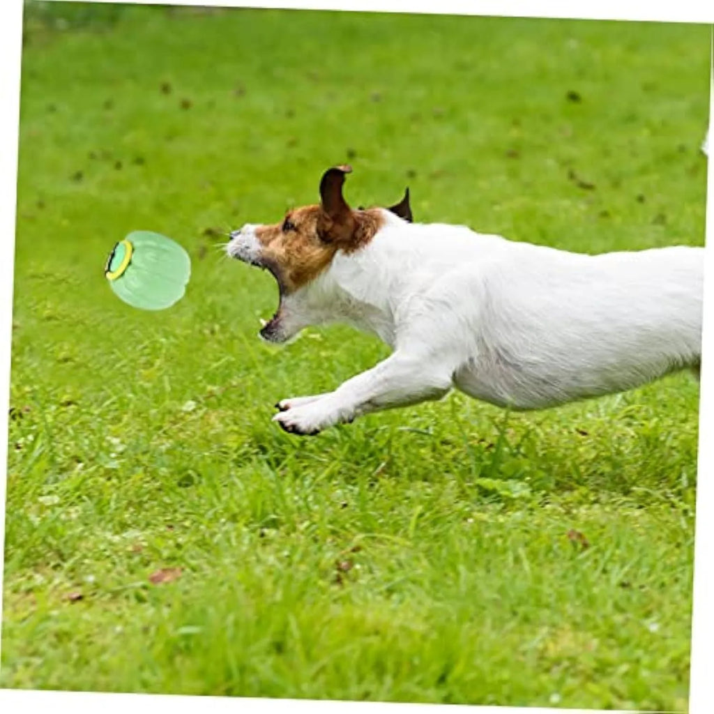 Green, orange, and yellow plastic pumpkin-shaped squeaky dog ball toy for small breeds.