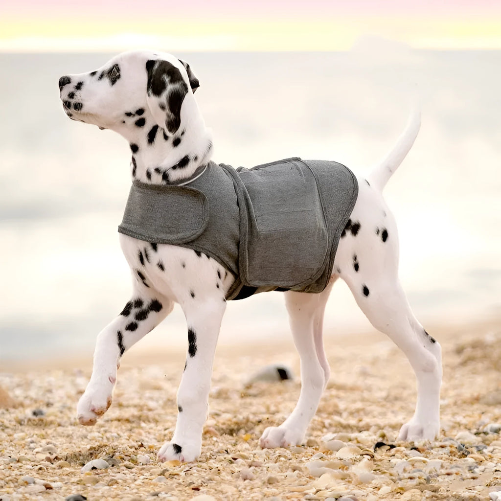 Heather grey dog anxiety jacket vest shown on medium-sized dog with brocade cotton fabric texture visible