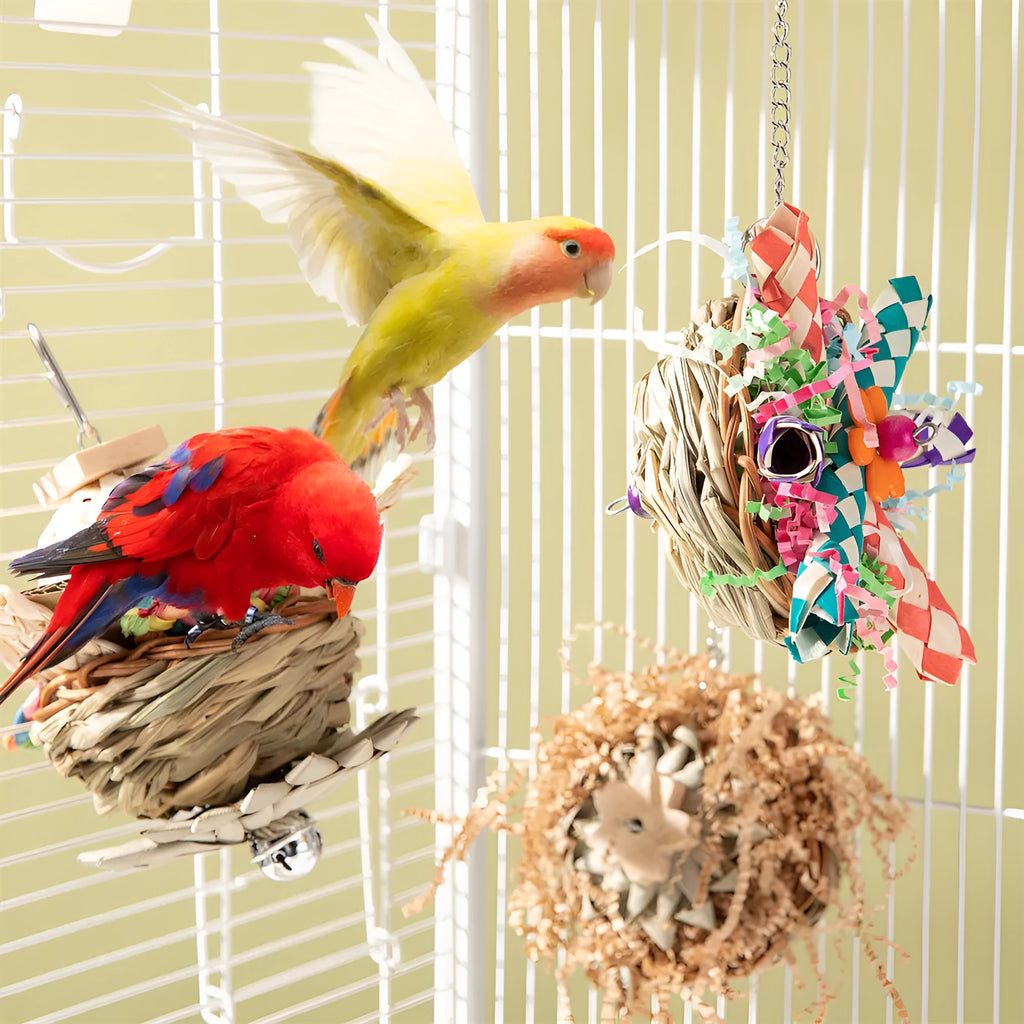 Parrot gnawing toy for beak exercise with weight option specifications