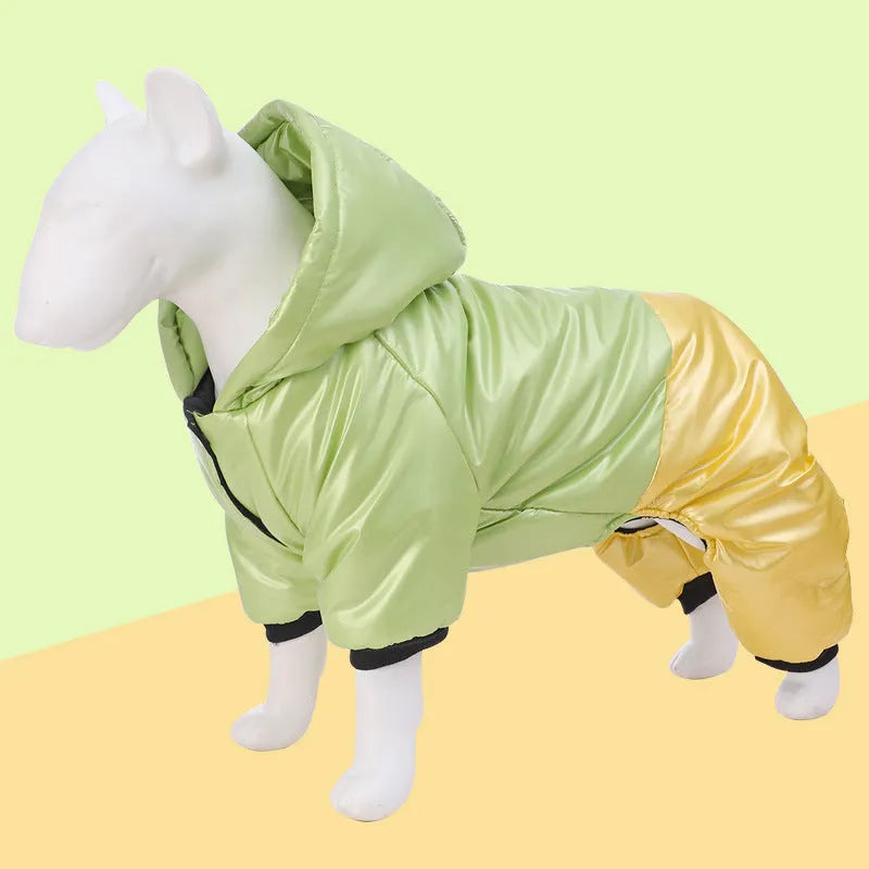 Green waterproof windproof cotton dog coat on four-legged pet