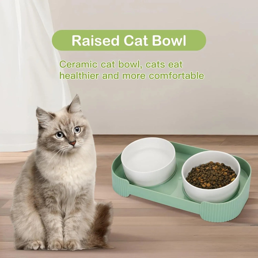 Green ceramic raised cat bowls with 15 degree tilt and non-slip base for spill-proof feeding