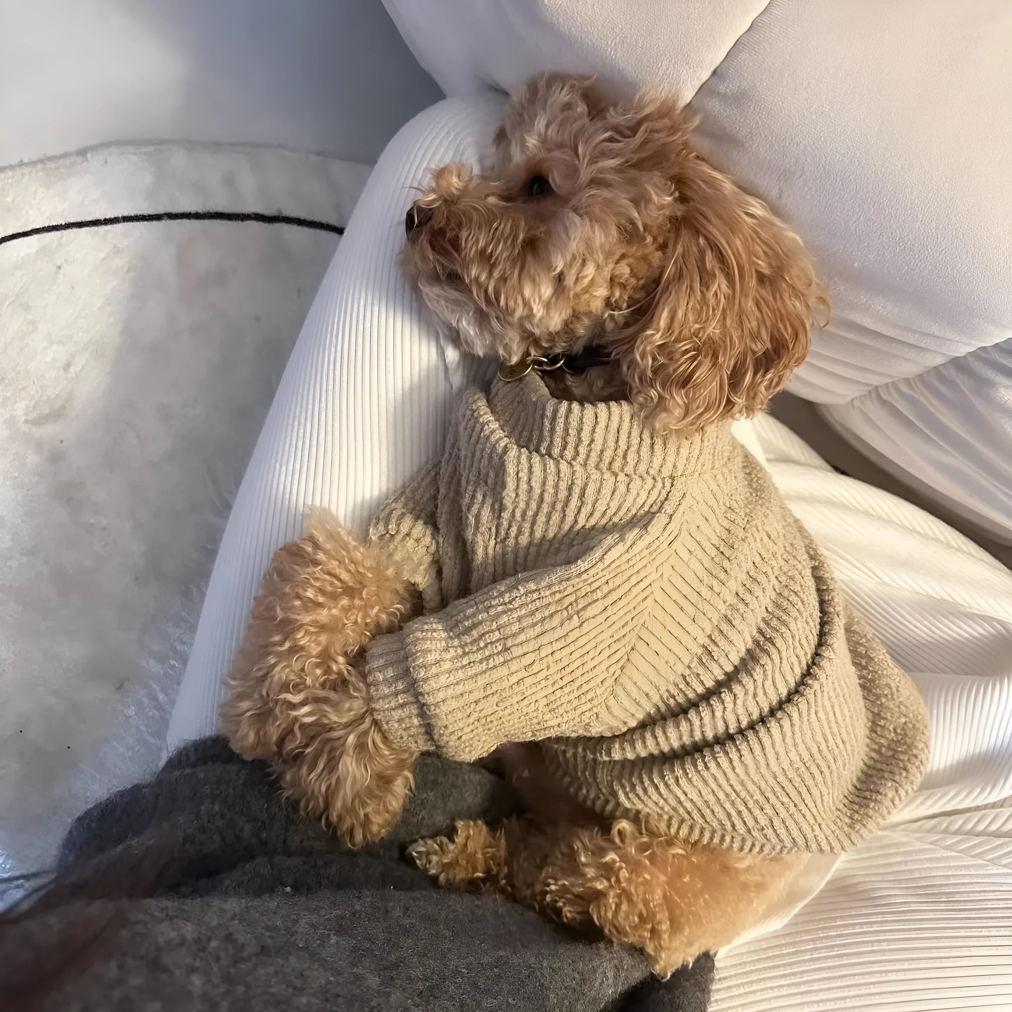 Brown cloth sweater pullover for small dog breeds on mannequin showing casual style pet clothing