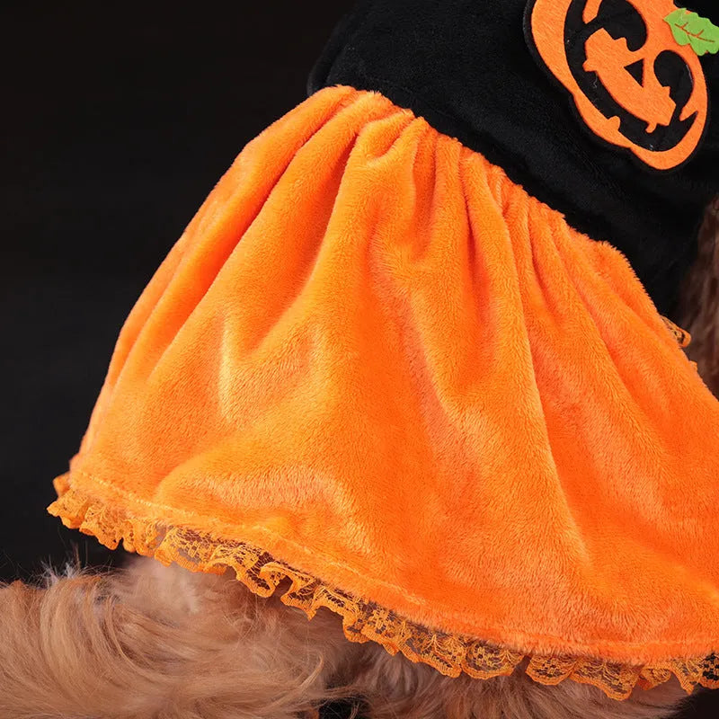 Halloween pet costume with pumpkin skirt and sweater designs in crystal velvet material
