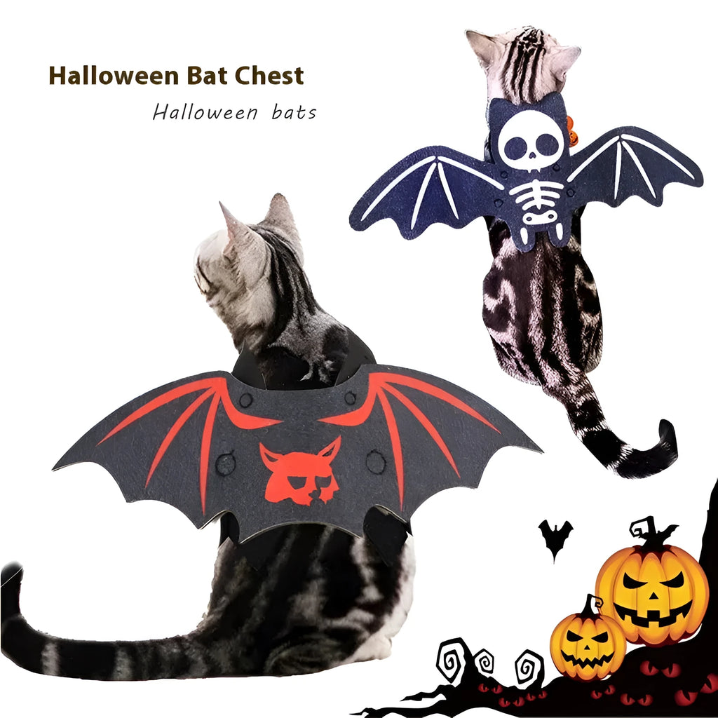 Black cat wearing an orange felt batwing Halloween costume with bell attachment.
