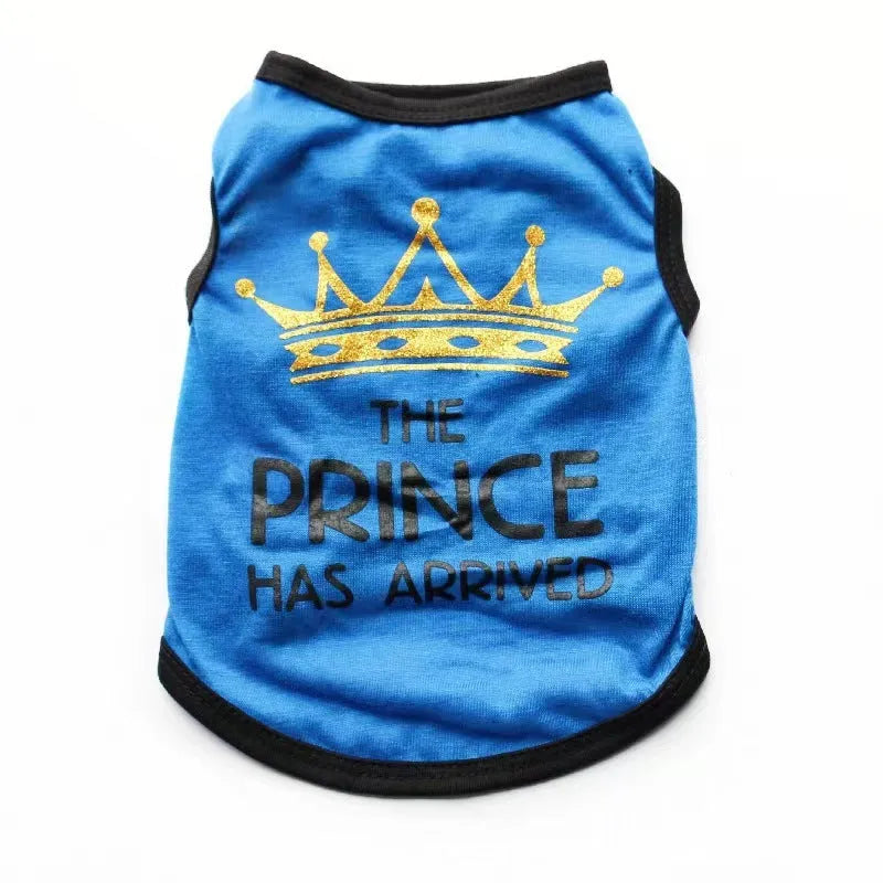 Light blue cotton puppy vest on small dog showing breathable summer design and proper fit