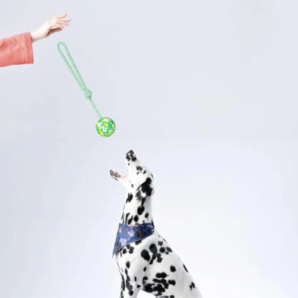 S size dog ball on rope toy with 6cm natural rubber ball and 27cm nylon rope for medium small dogs