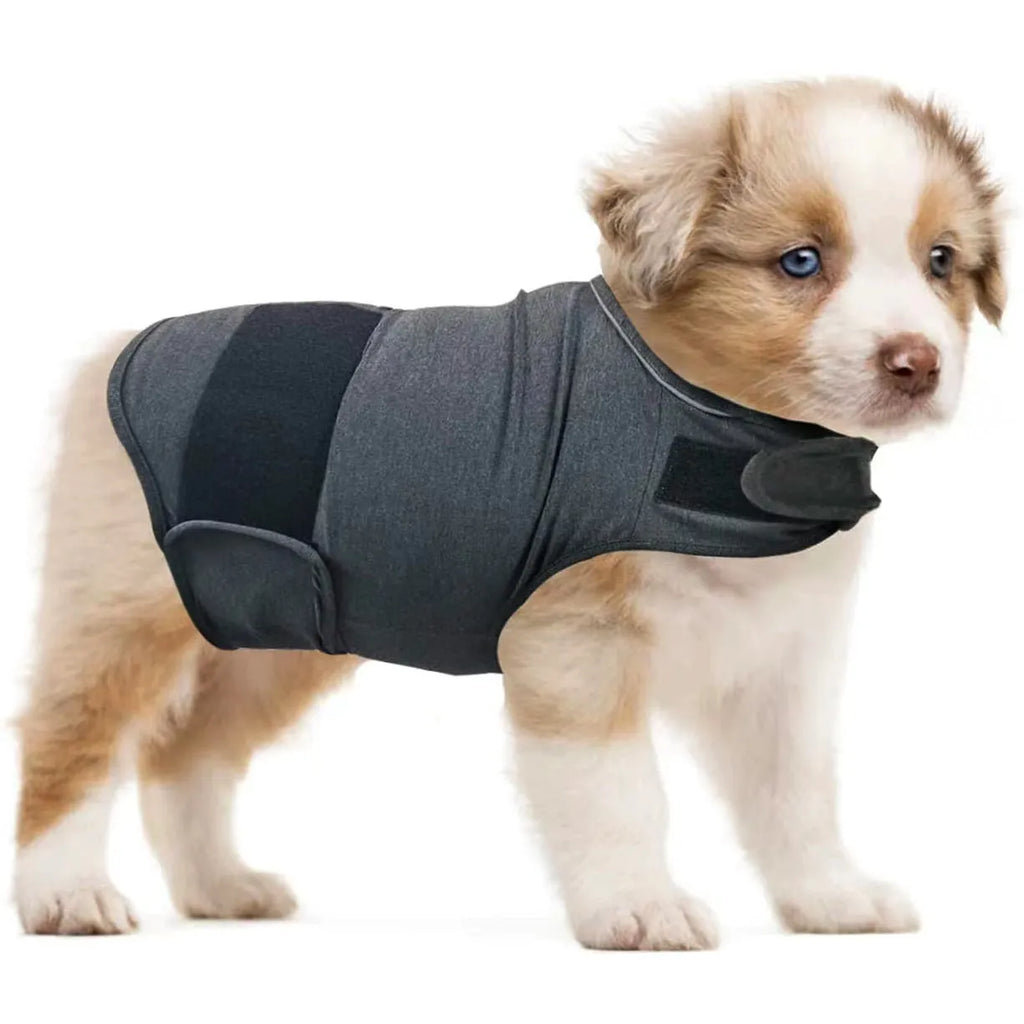 Brown dog anxiety relief tank top jacket on canine model showing casual pet clothing design