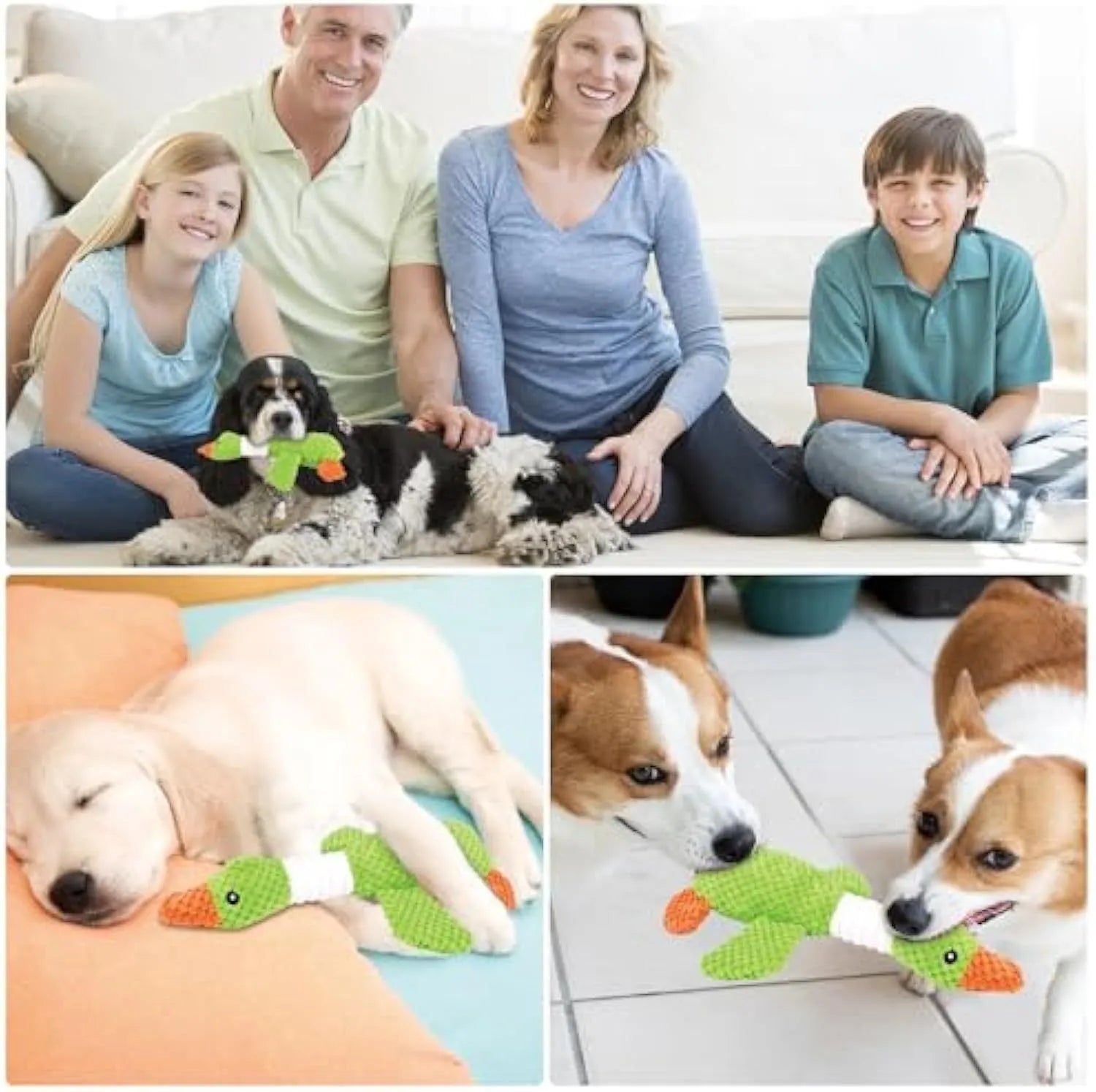 Blue duck-shaped plush dog toy with squeakers for chewing and play