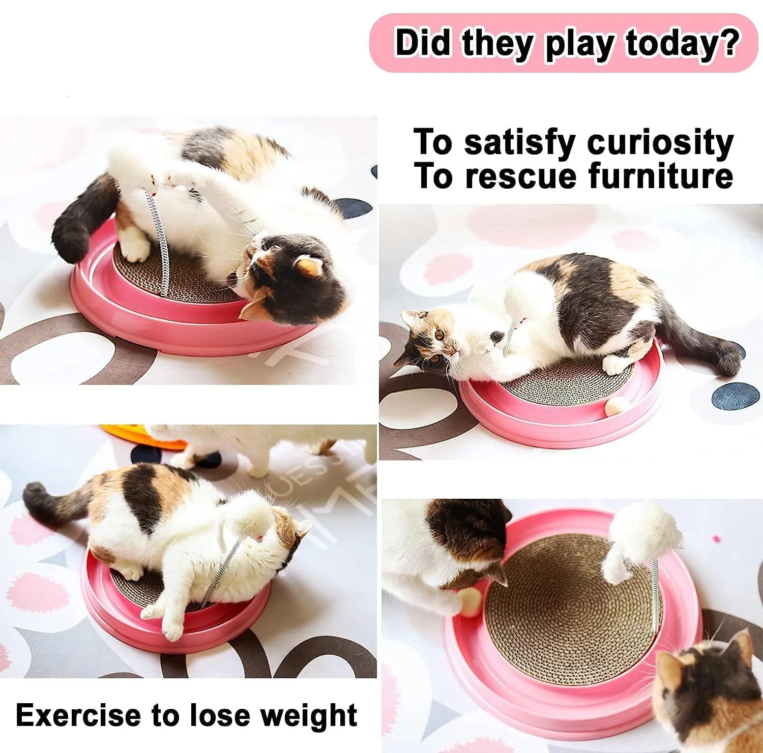Circular blue cat scratcher with rolling ball track and replaceable corrugated cardboard centre pad