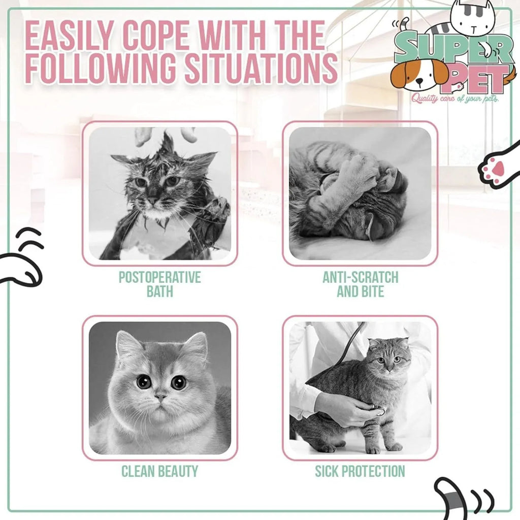 Soft cat cone collar with bee design showing adjustable velcro closure in pet recovery setting