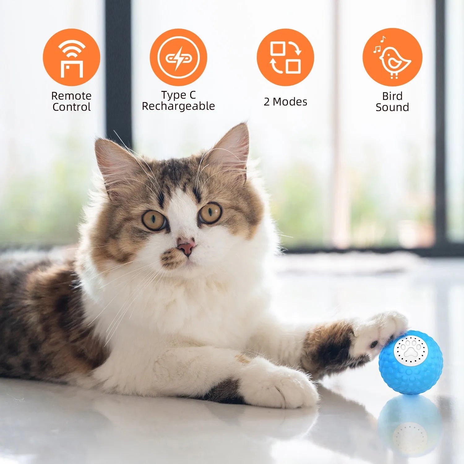 Remote control smart cat ball toy in blue, green, and yellow colours for interactive indoor play