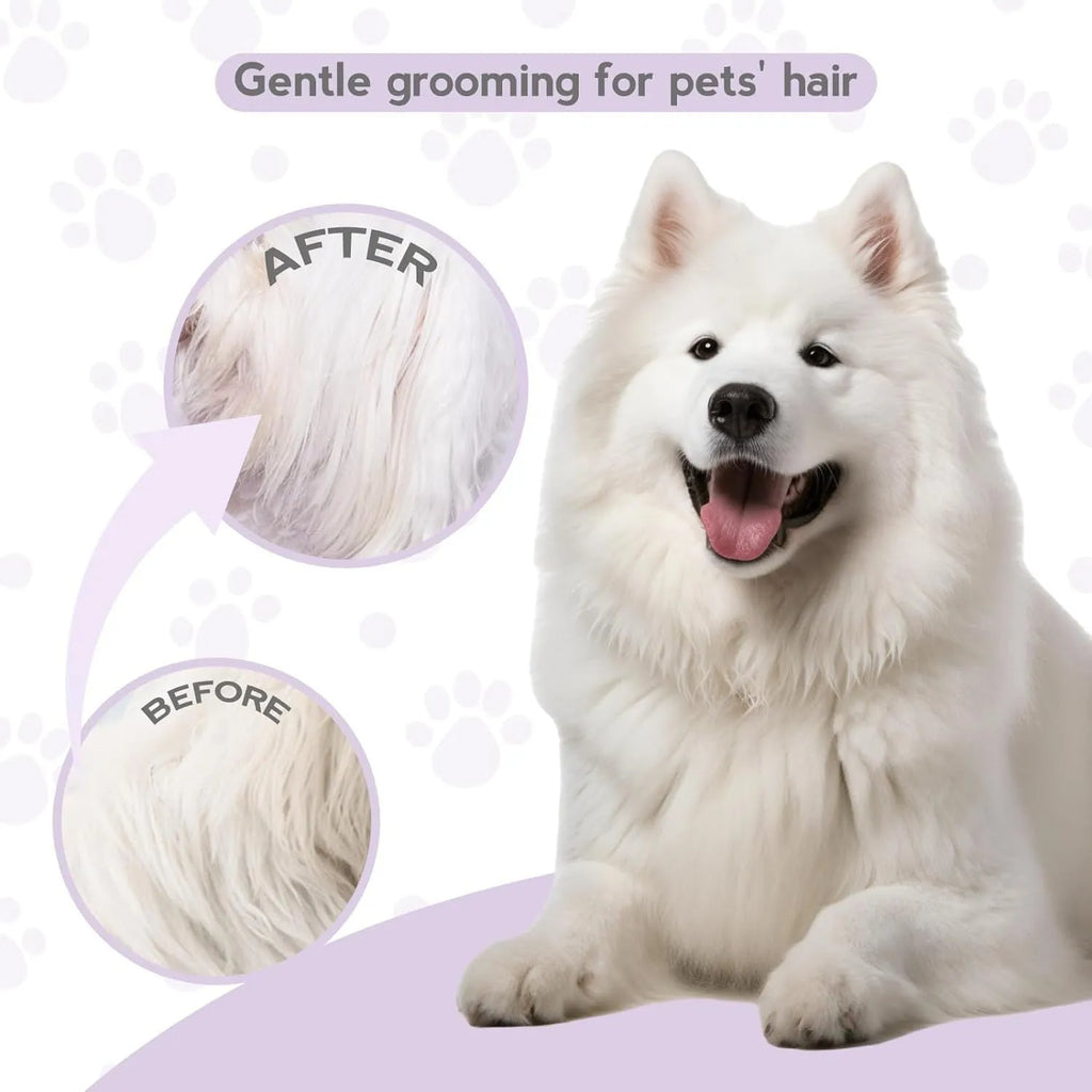 Purple pet grooming comb with stainless steel teeth for detangling dog and cat coats