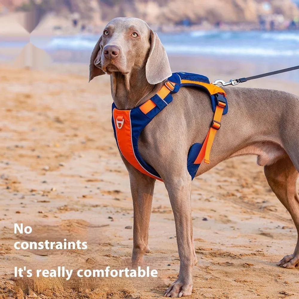 Orange blue nylon dog chest strap vest harness with hand rope attachment shown on dog