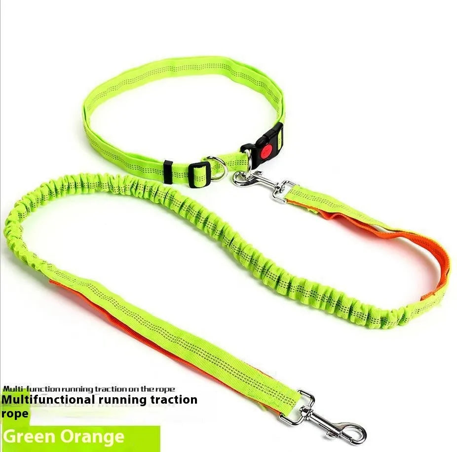 Grey and green two-tone reflective elastic dog leash held in a hand, showing its 2.5cm width.