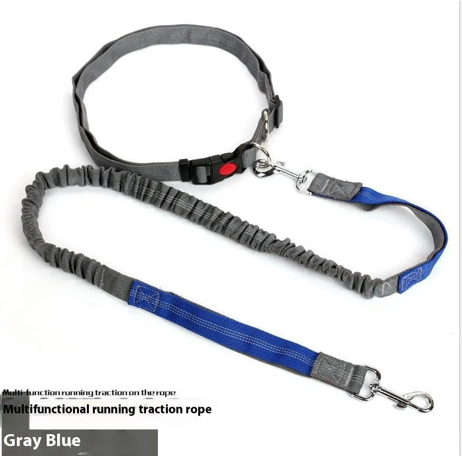 Grey and green two-tone reflective elastic dog leash held in a hand, showing its 2.5cm width.