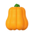 Pumpkin-coloured plastic dog chew toy with an attached rope for tugging and fetch.
