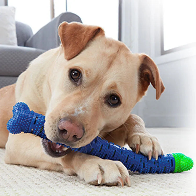 Blue green dog dental chew toy with serrated brush head design for tooth cleaning, 25cm length