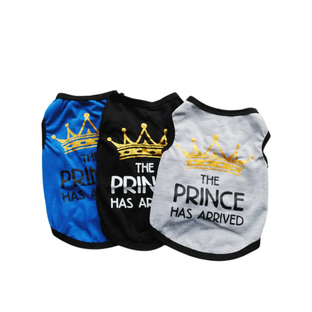 Light blue cotton puppy vest on small dog showing breathable summer design and proper fit