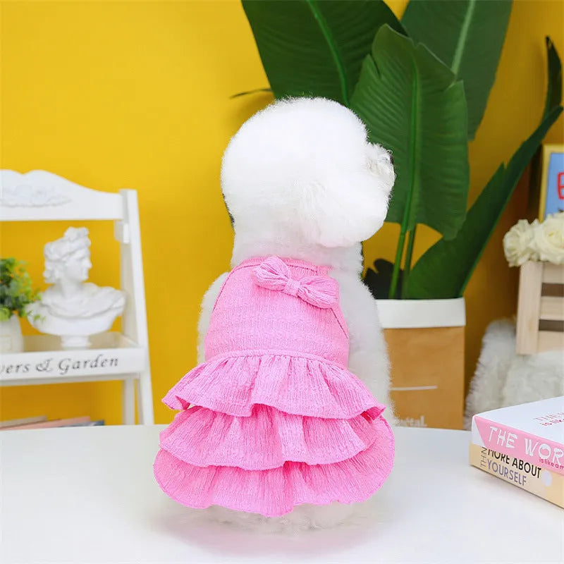 Small white dog wearing a rose red layered princess dress with a candy skirt.