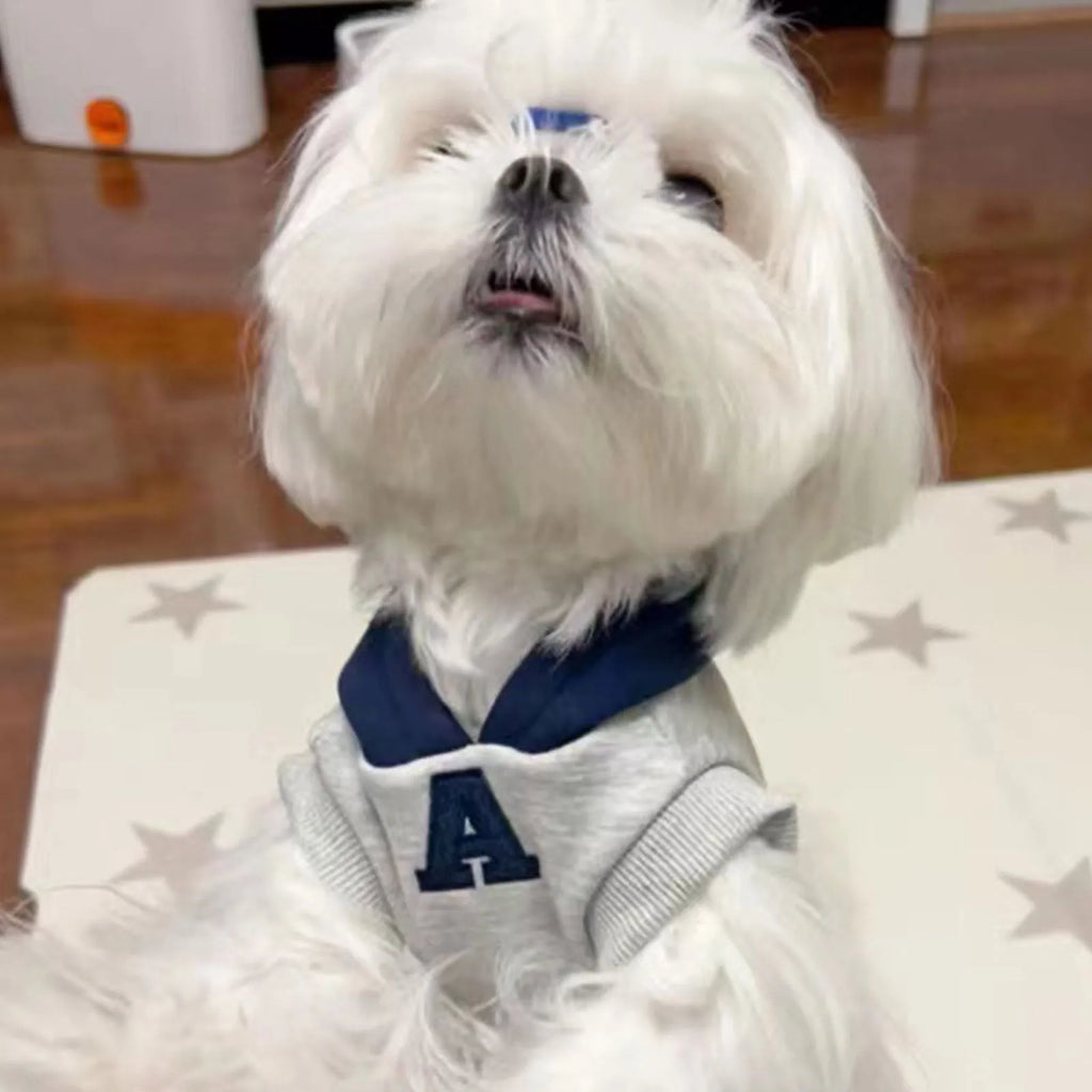 Blue and grey white pet hoodie sweater with reflective letters for cats and dogs in slim-fitting polyester