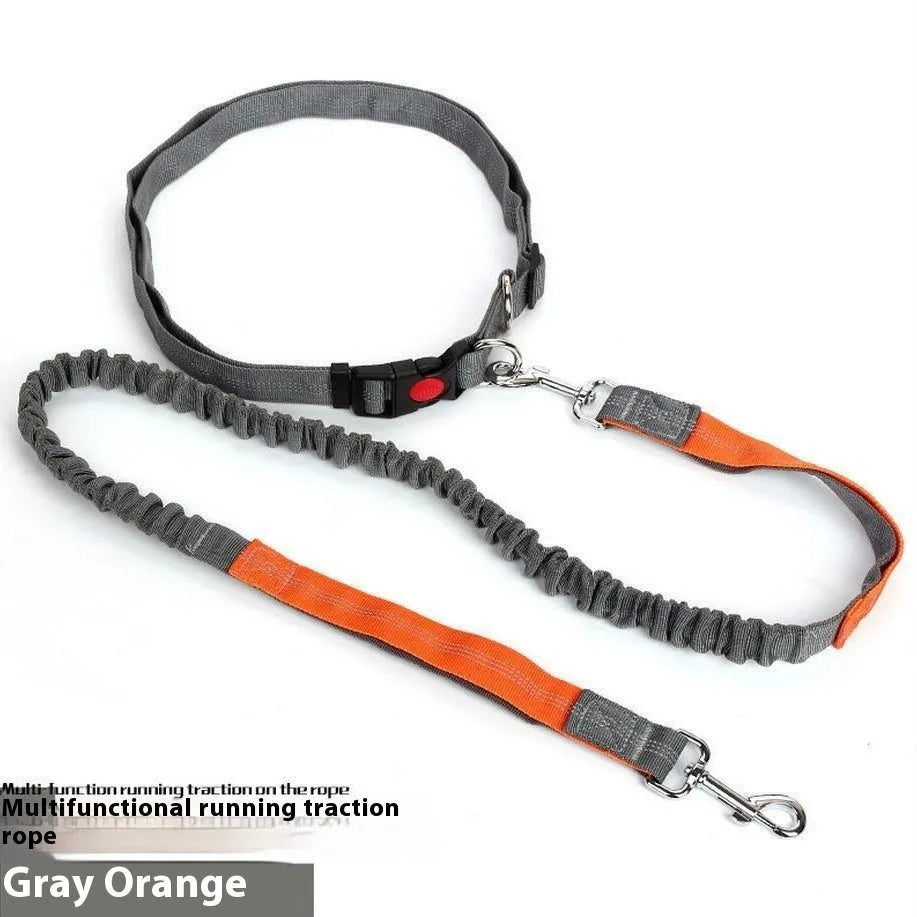 Grey and green two-tone reflective elastic dog leash held in a hand, showing its 2.5cm width.