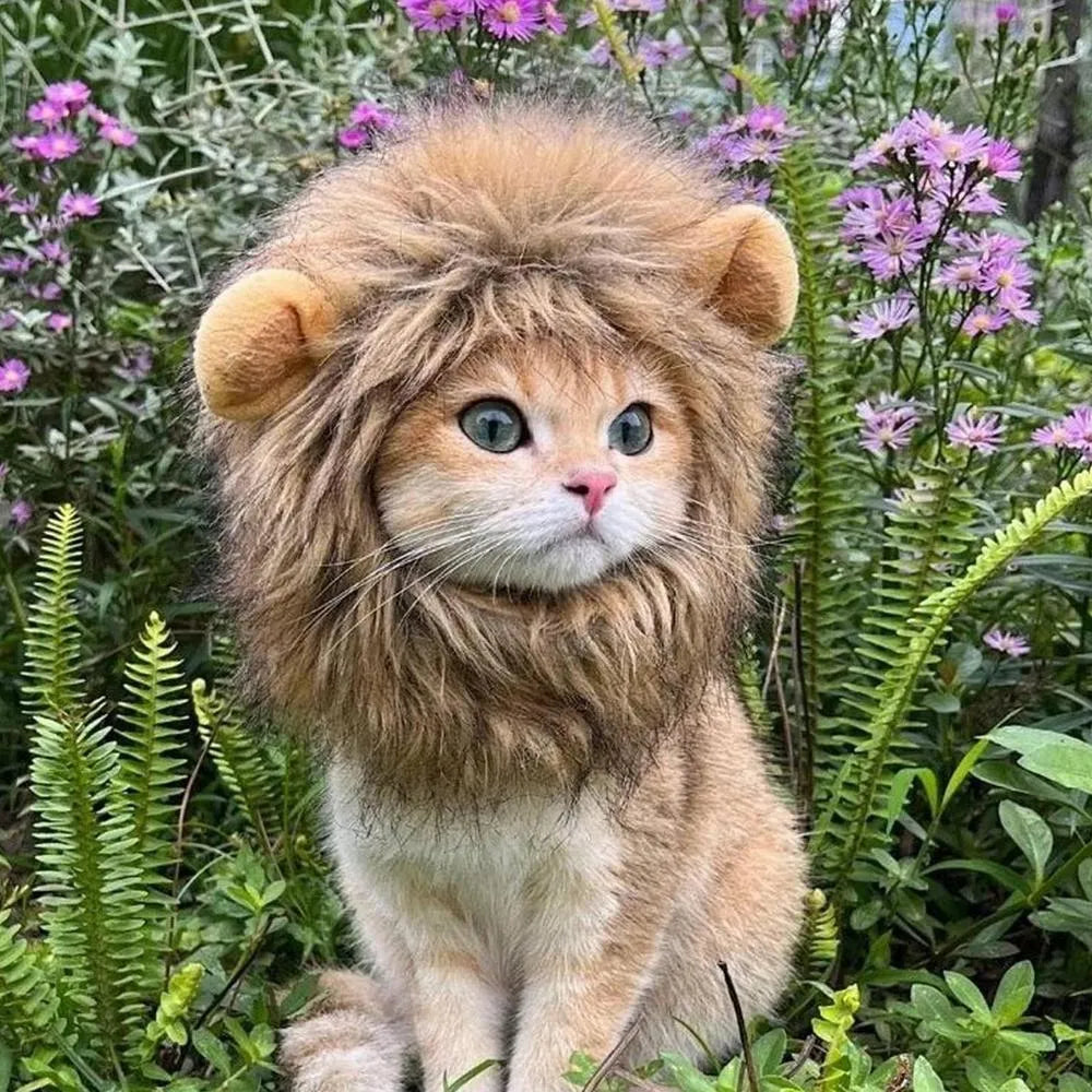 A lion mane wig for cats and small dogs with fluffy artificial hair, plush ears, and an adjustable strap.