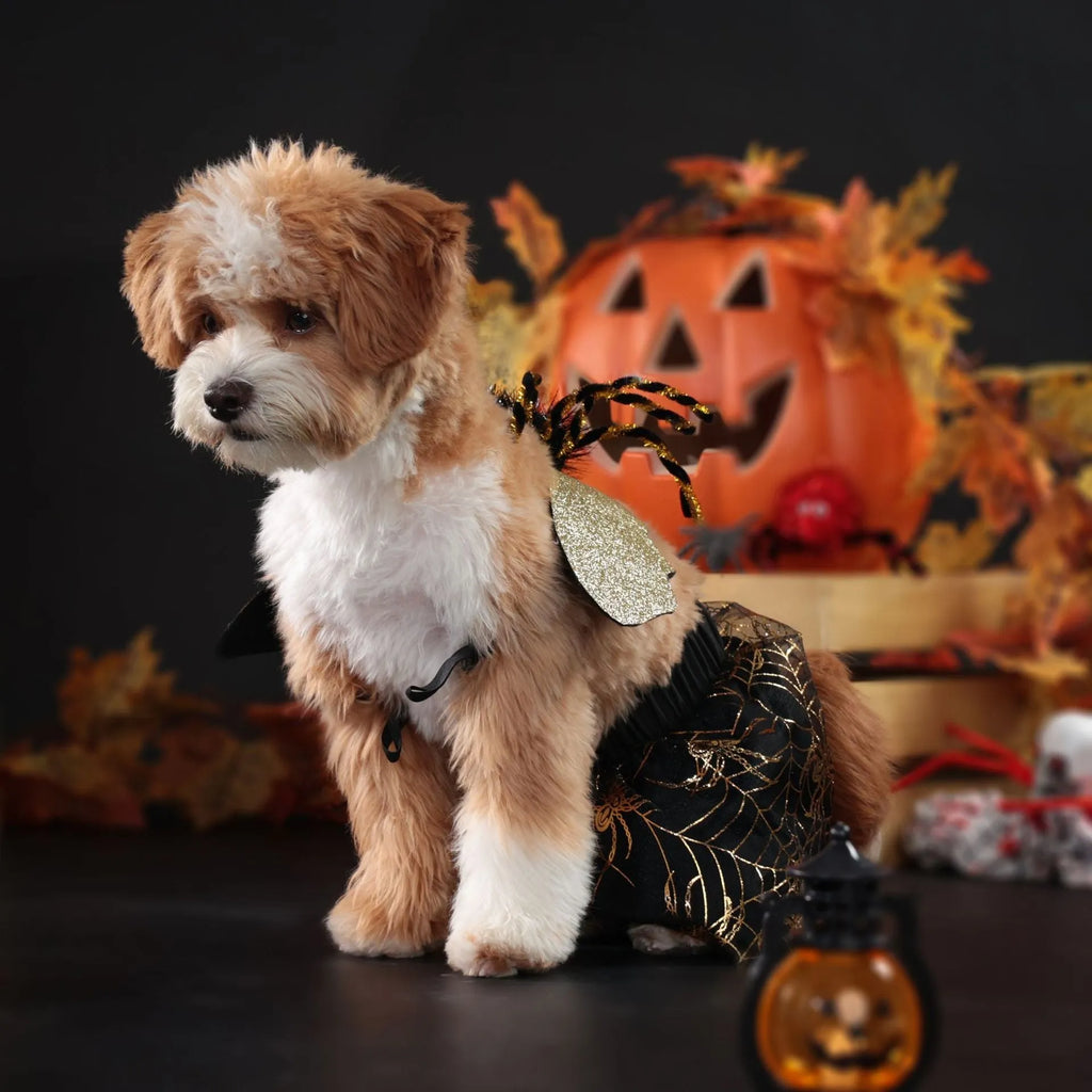 Polyester dog Halloween costume suit in uniform design available in four sizes