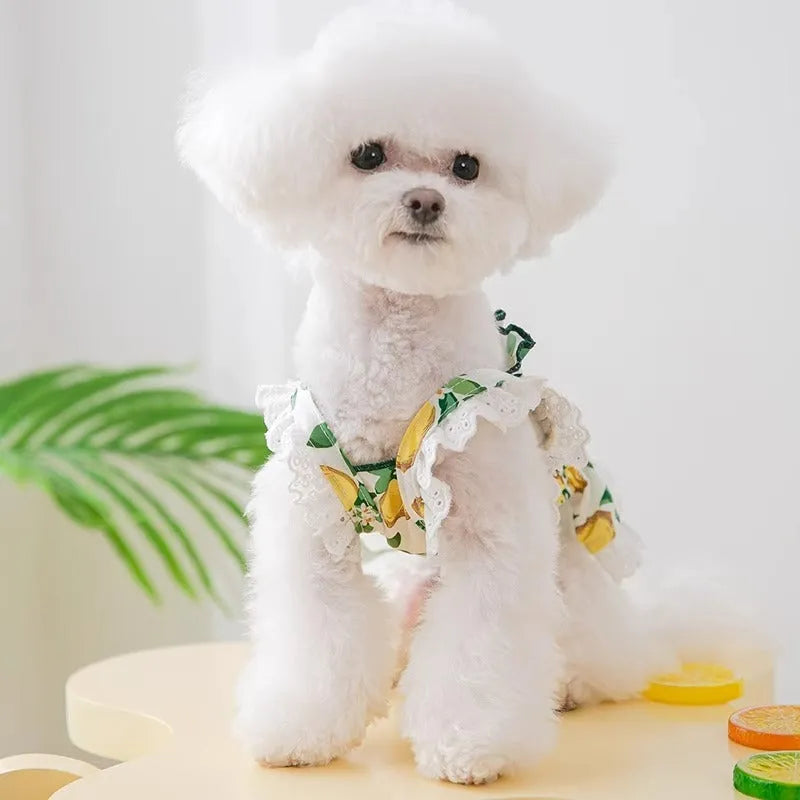 Rock yellow lemon polyester dog skirt with princess style and strap design for small dogs