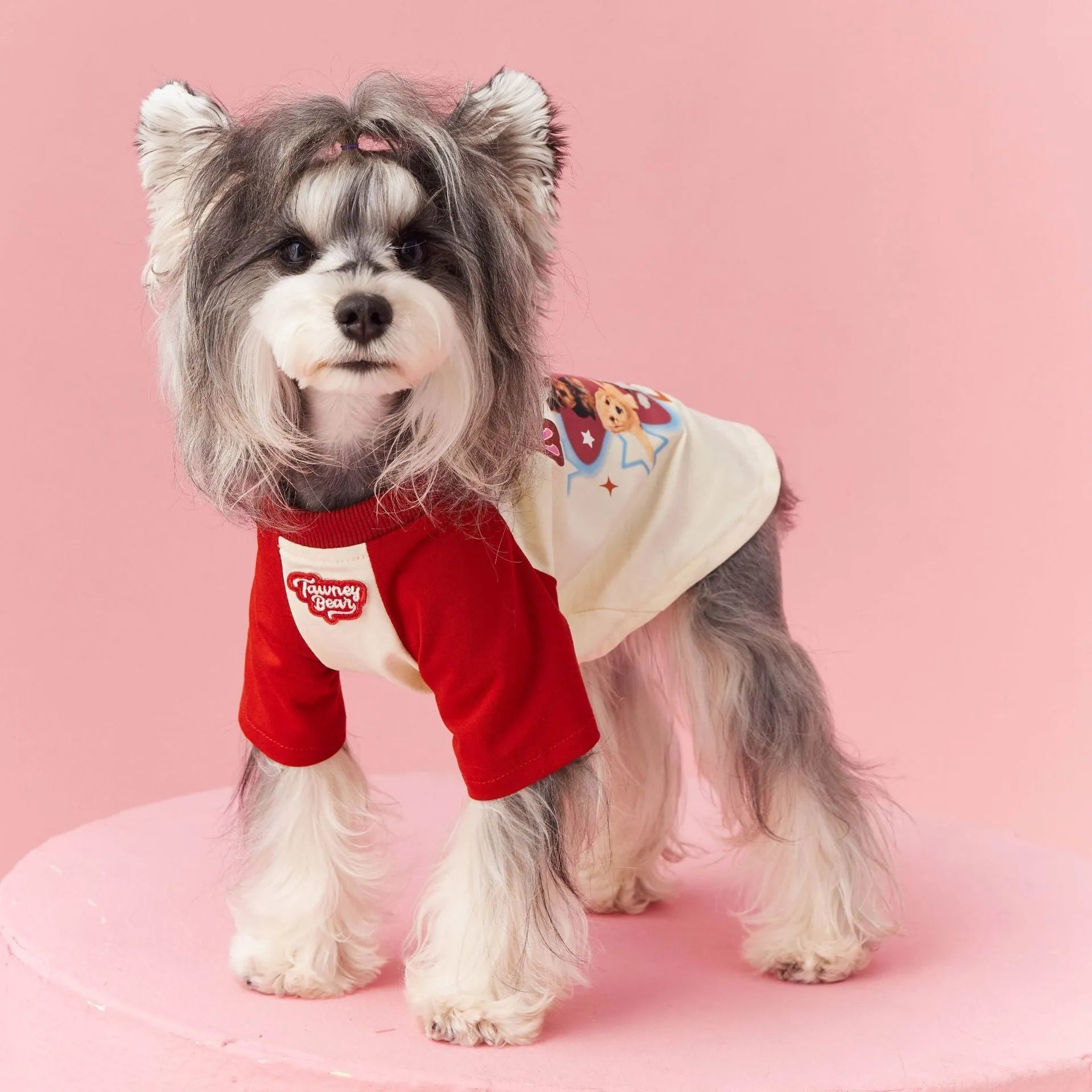 Cotton summer dog clothes with contrast embroidery in red and pink colours