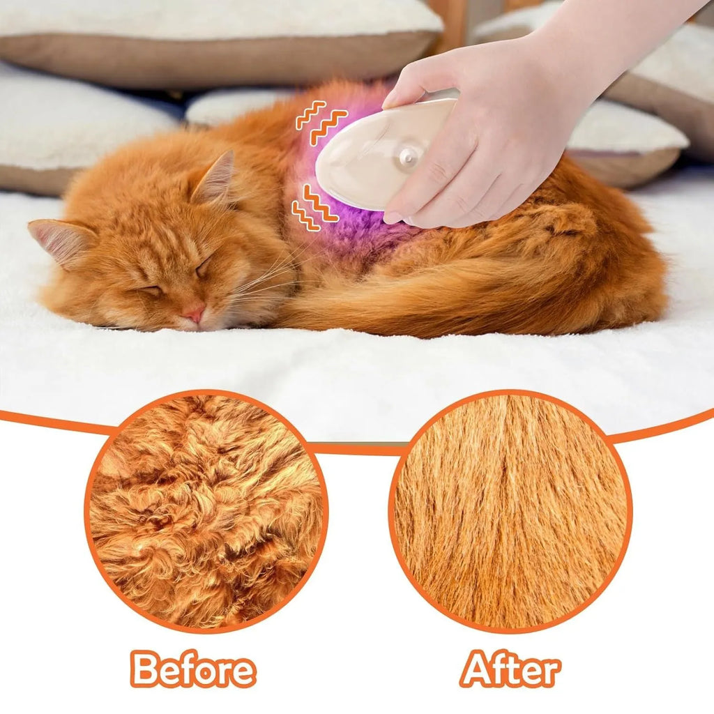 Yellow 4-in-1 cat steam brush with silicone teeth, water tank, and ringworm detector lamp.